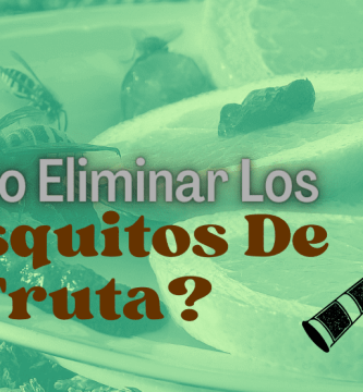 Cómo Eliminar Los Mosquitos De La Fruta