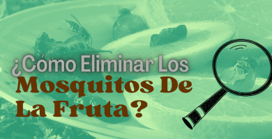 Cómo Eliminar Los Mosquitos De La Fruta