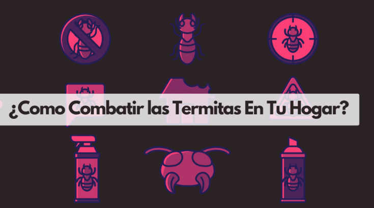 eliminar termitas