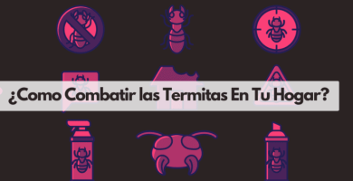 eliminar termitas