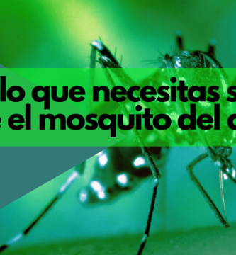 mosquito del dengue