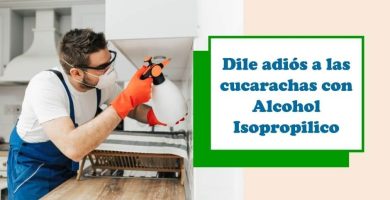 El Alcohol Mata Cucarachas