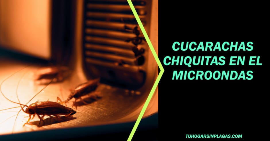 Cómo Eliminar Cucarachas Chiquitas del Microondas