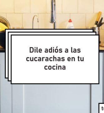 eliminar las cucarachas de tu cocina