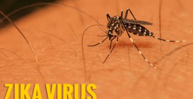 Cuáles Son Las Infecciones Y Riesgos Del Virus Zika