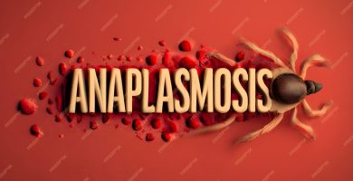 Cómo Protegerme de Anaplasmosis