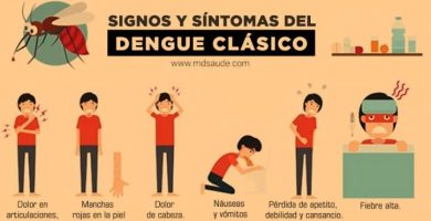 Cuáles Son Los Síntomas Y Causas Del Dengue En Detalle