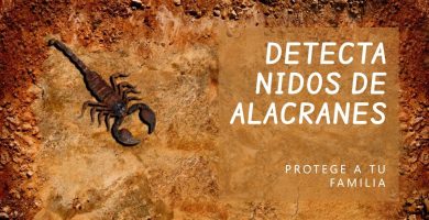 Detecta nidos de alacranes