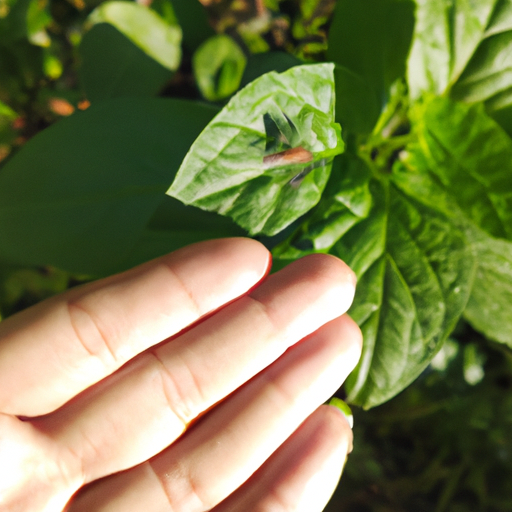¿Cómo deshacerte de mosquitos blancos pequeños en plantas?