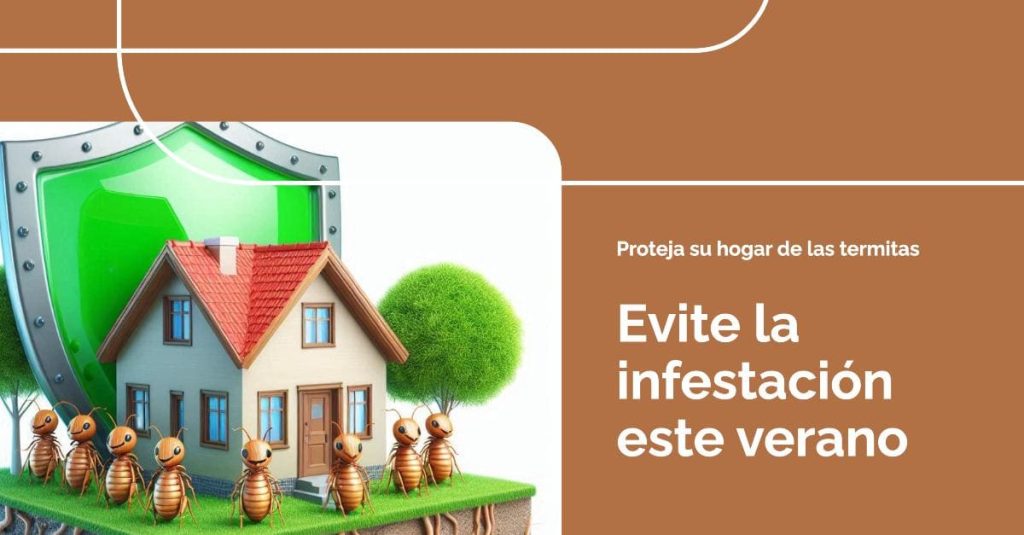 Cómo evitar la presencia de termitas en tu hogar durante el Verano