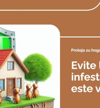 Cómo evitar la presencia de termitas en tu hogar durante el Verano